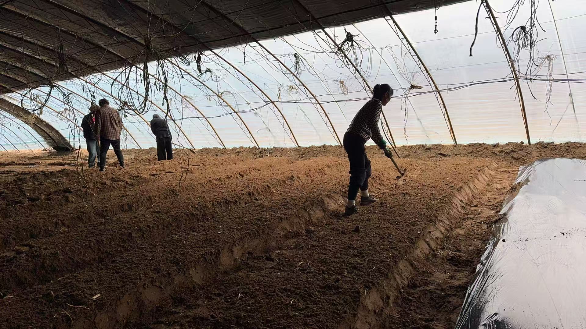 58de44d467517e88fa0697199533d613