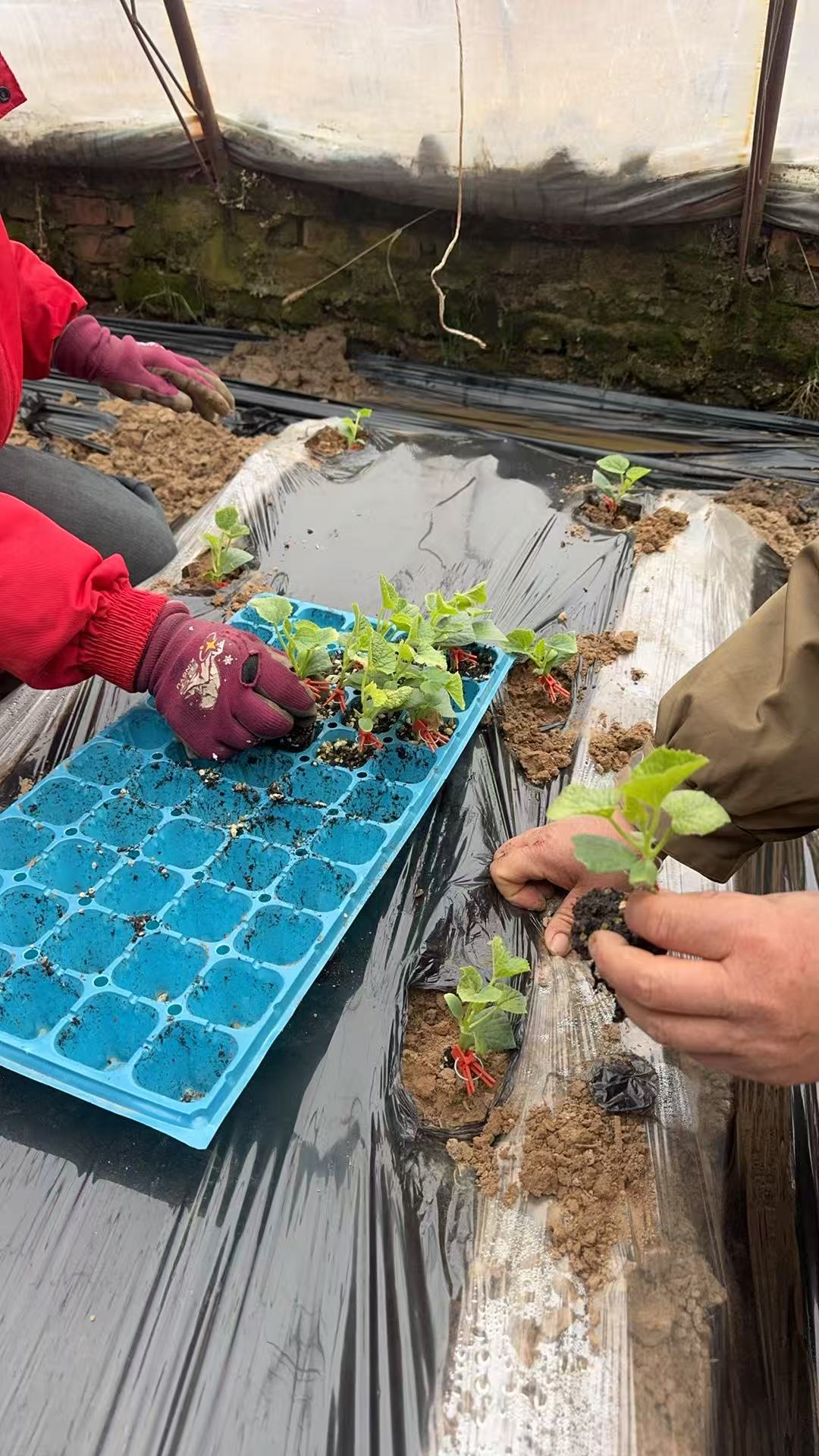 48c95865540957b1100273d3be22dacf