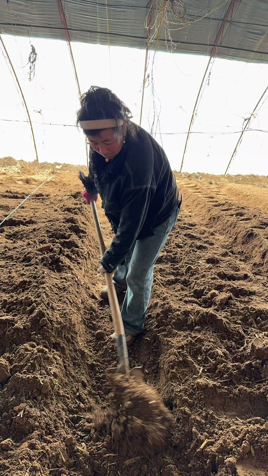 38b76242b20aad451c95f306b740e324