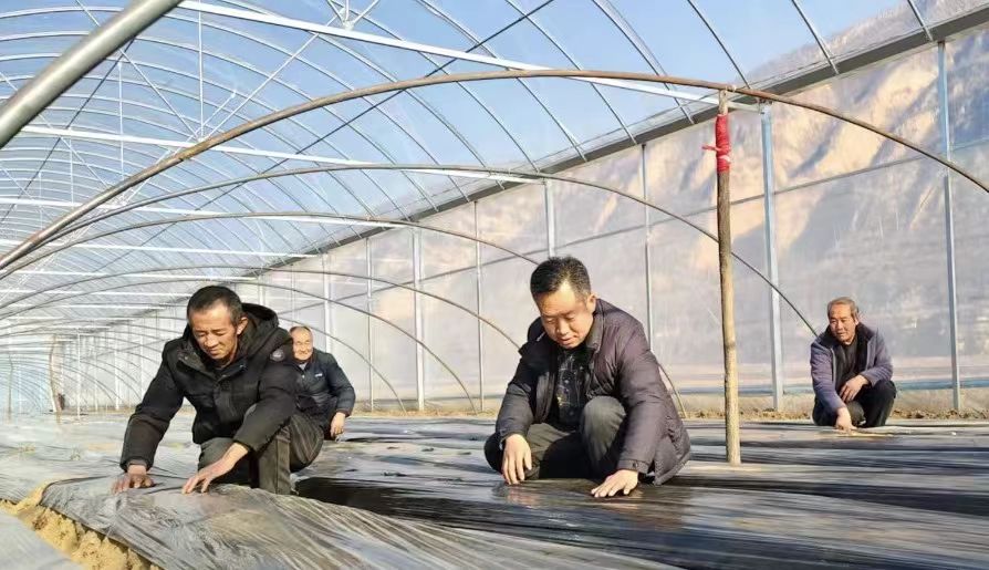 317789bcd2ed0af2ddf4acbef12fe9b5