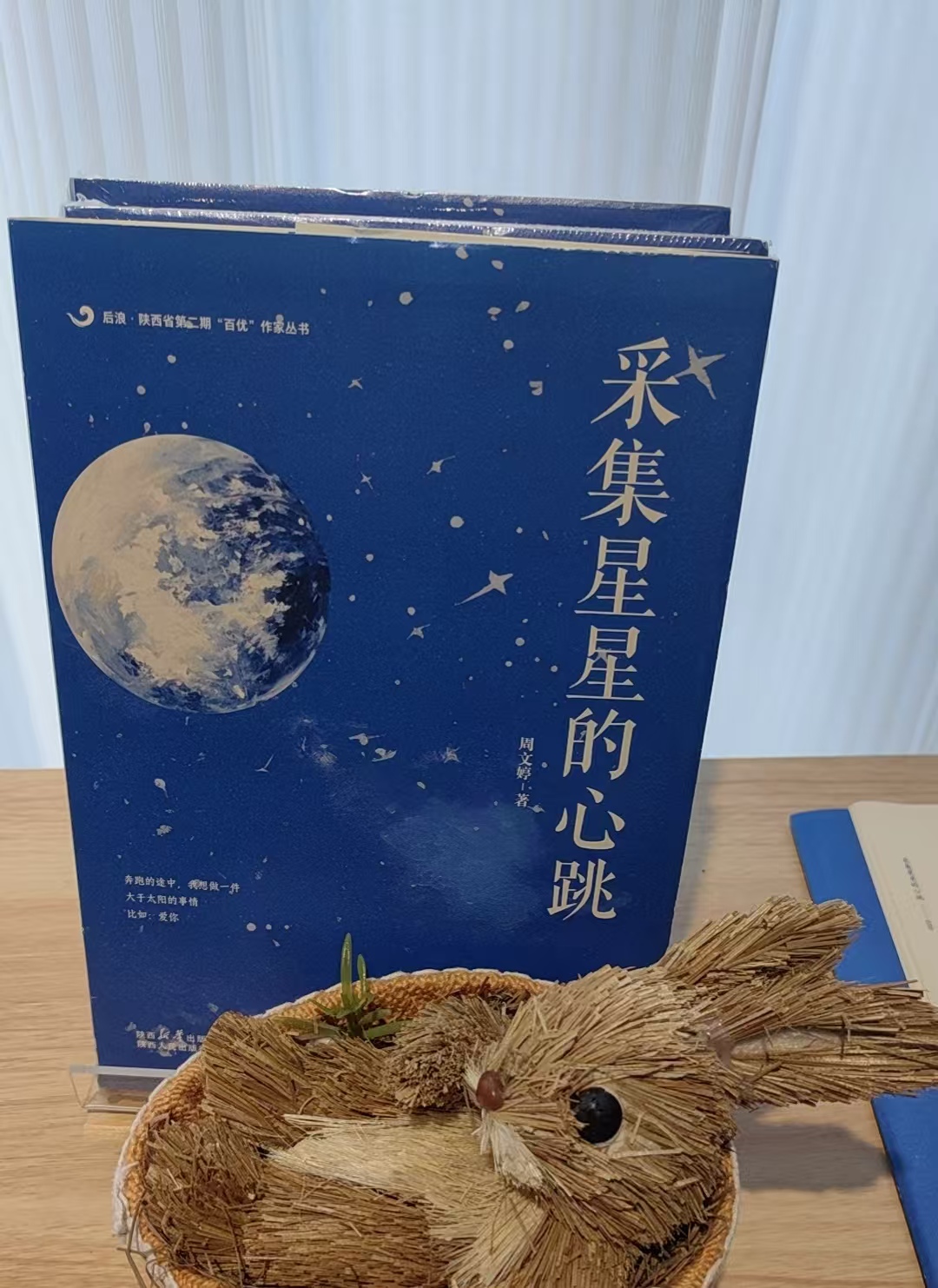 a91024029da96caab96b21a4dfeced3f