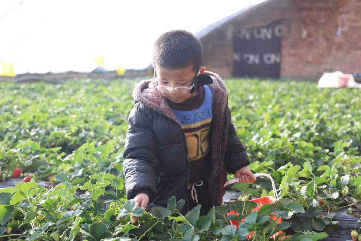 4b8bad52d1b6a7c3db29c0c7b2cd3ce9